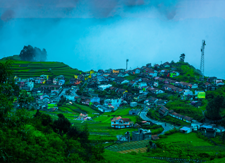 Cochin-Thekkady-Munnar and Alappuzha Package