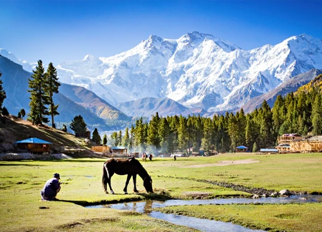 Delhi to Kullu-Manali Getaway