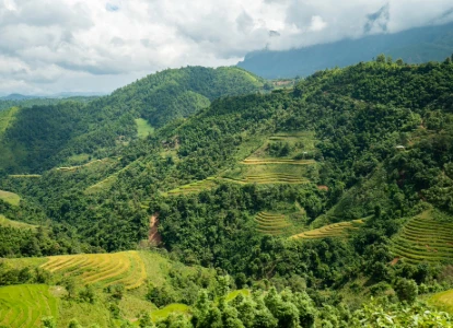 Munnar Thekkady Package